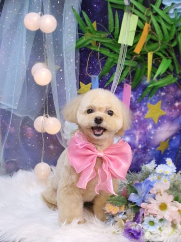 20250713むぎちゃん